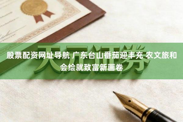 股票配资网址导航 广东台山番茄迎丰充 农文旅和会绘就致富新画卷