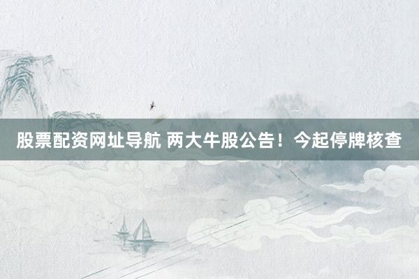 股票配资网址导航 两大牛股公告！今起停牌核查