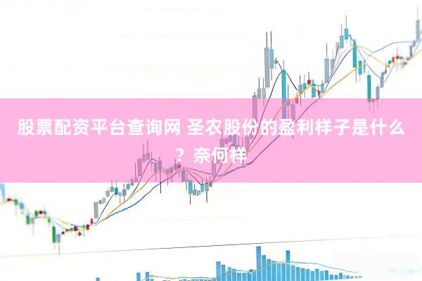 股票配资平台查询网 圣农股份的盈利样子是什么？奈何样