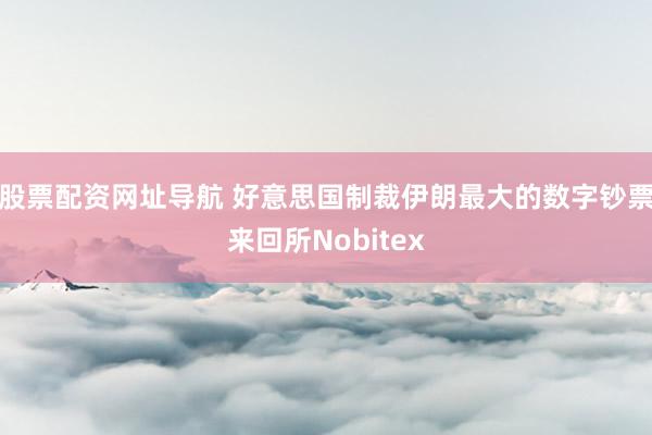股票配资网址导航 好意思国制裁伊朗最大的数字钞票来回所Nobitex